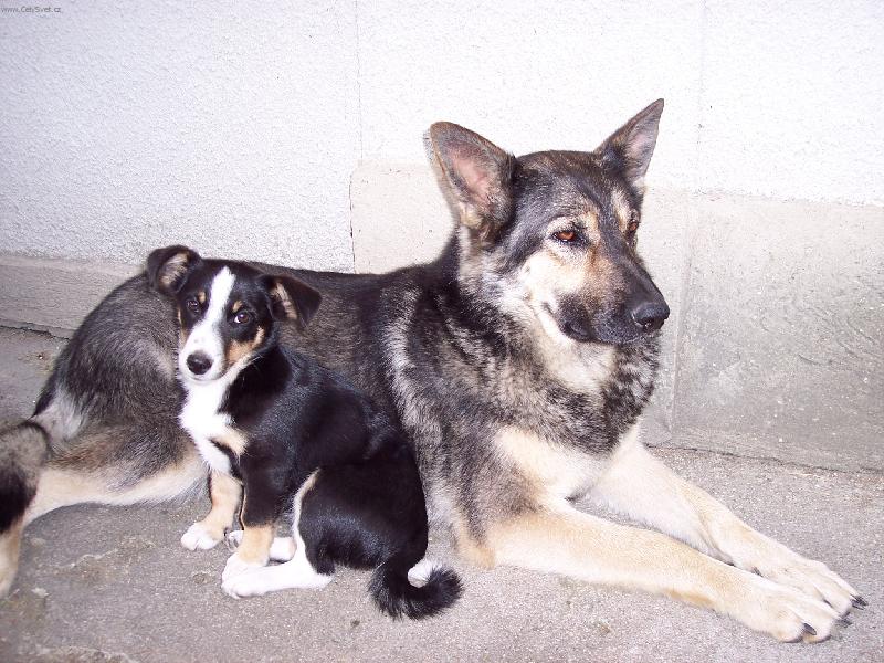 Foto: Ad�lka a Bellynka