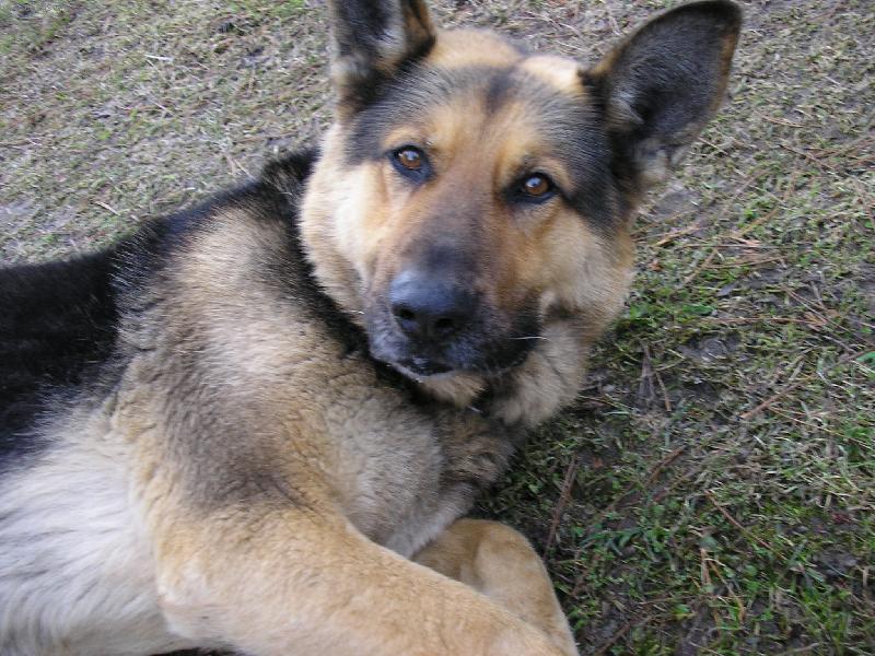 Foto: N� pes Randy