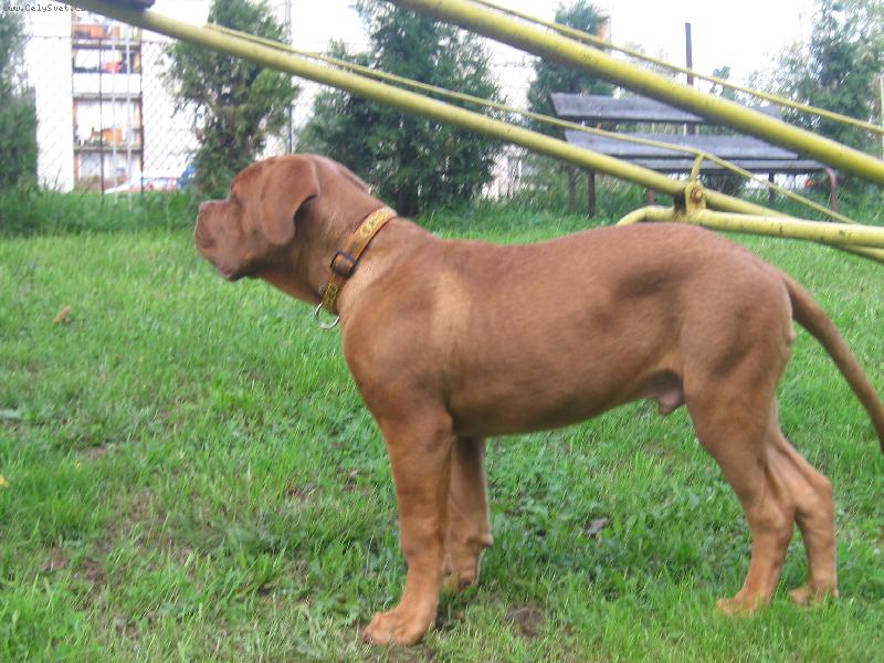 Foto: Mil��kov�-Baz��ek