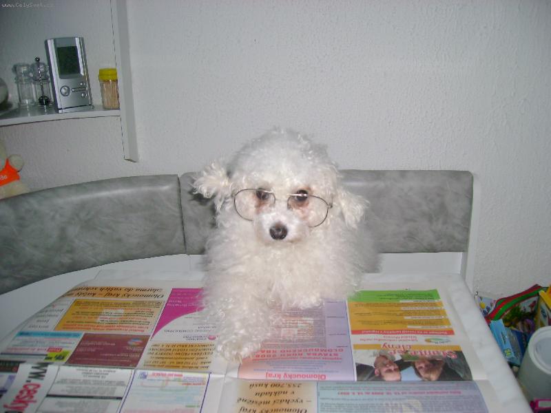 Foto: �tu si noviny