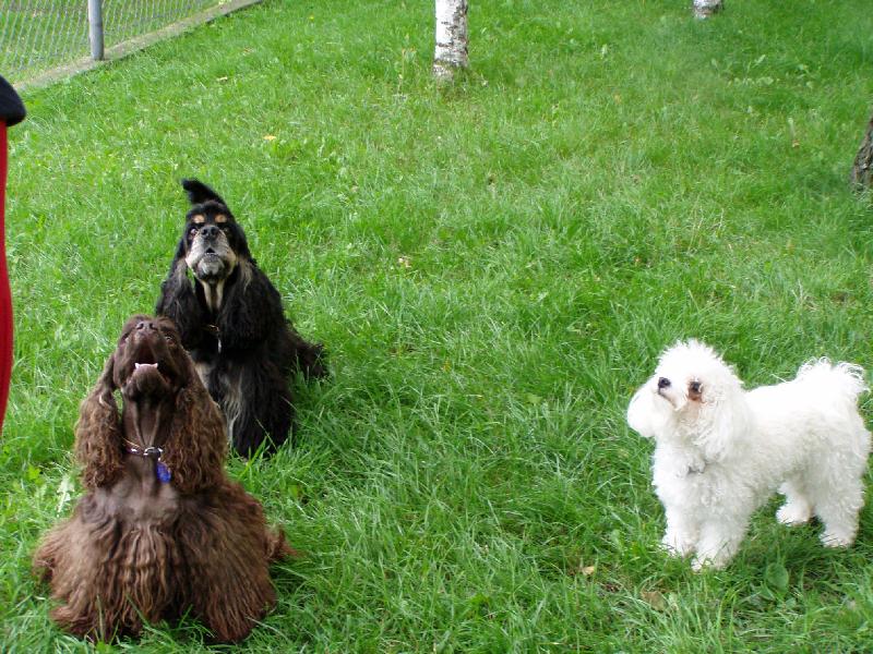 Foto: Jessin�ina sme�ka