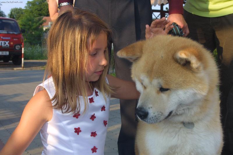 Foto: Dr��i�ky