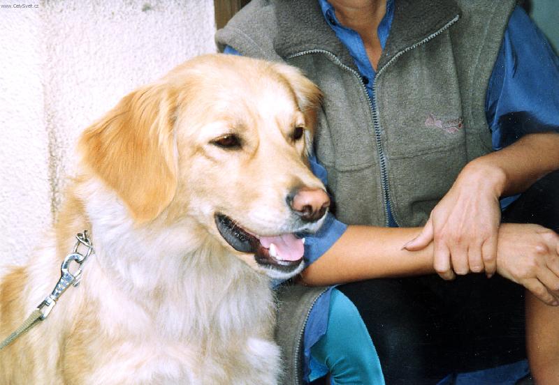 Foto: J� jsem Sallinka