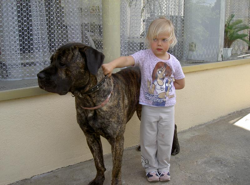 Foto: Apollo-pripravit..., pozor..., ...ted!!!