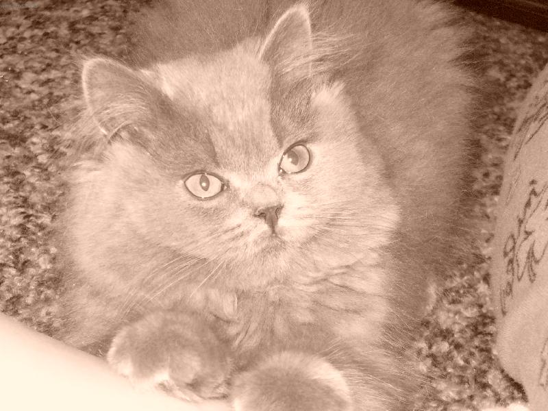 Foto: Kuk-M�m se usm�t ?