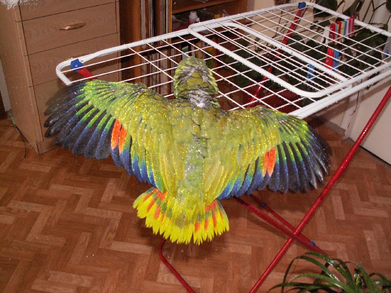 Foto: Amazo�an oran�ovok��dl�-Bruno se koupe