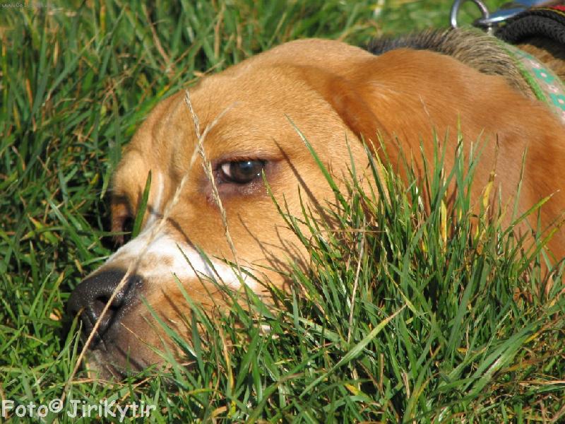 Foto: Rozj�m�n�