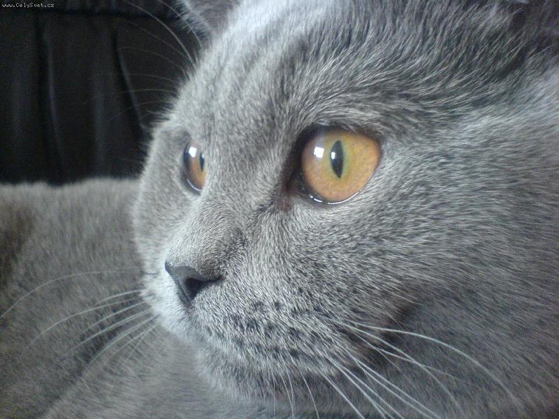 Foto: Dokonal� pohled