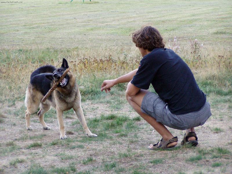 Foto: Hele, j� bych toho cht�l...