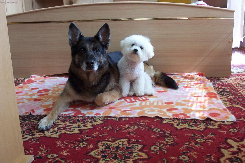 Foto: Bi�ko-Bi�ko a jeho kamar�dka