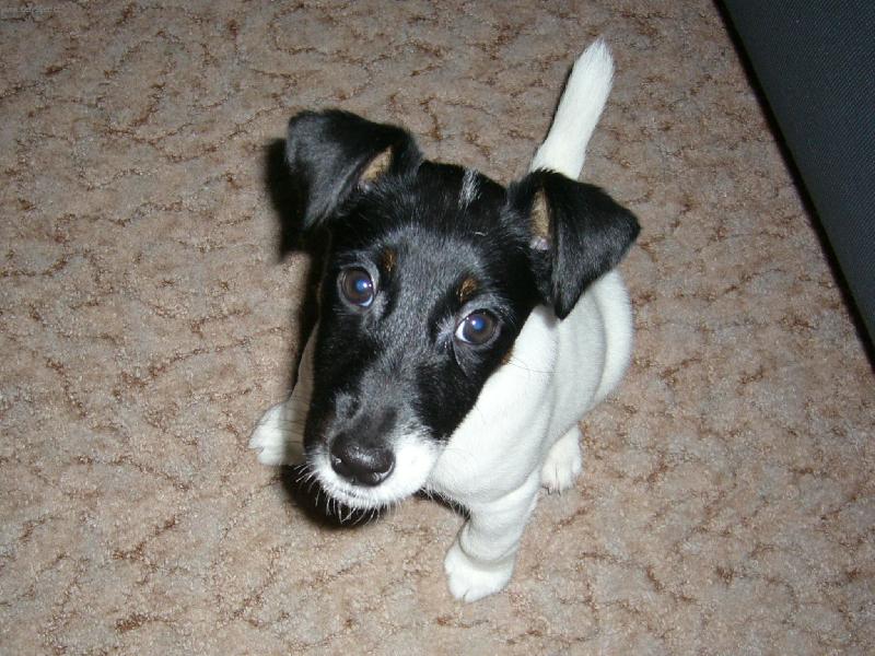 Foto: nem�te n�co k j�dlu?