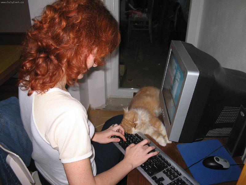 Foto: Puma-Asistent internetov�