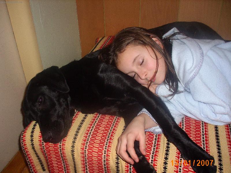 Foto: Dobrou noc....