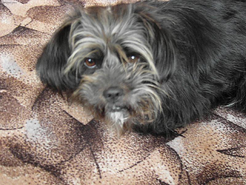 Foto: no tobych nebyla ja-ja sem takova here�ka tak volte pro mne