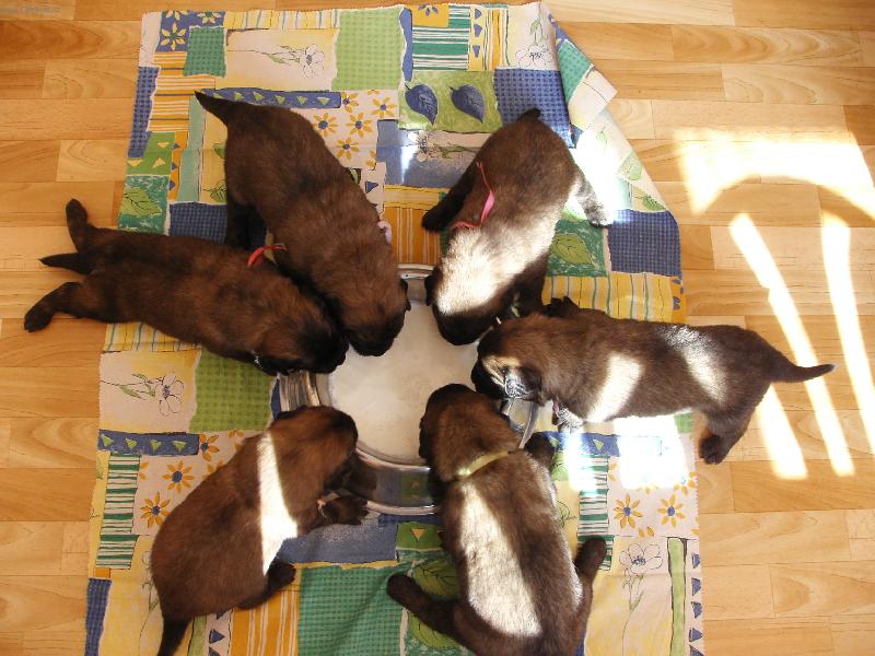 Foto: Galaxy Oss. - vrh A-Ml����ko!