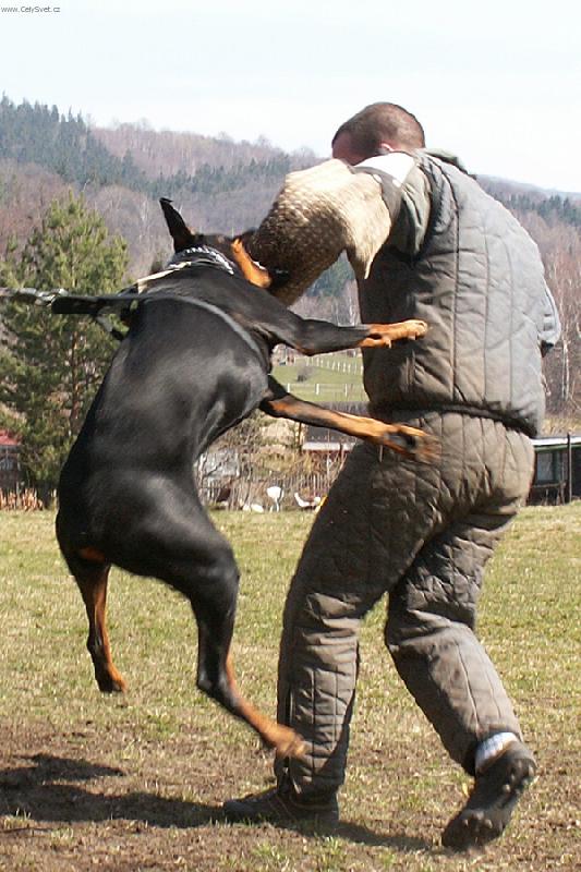 Foto: Dr��m a nepust�m!