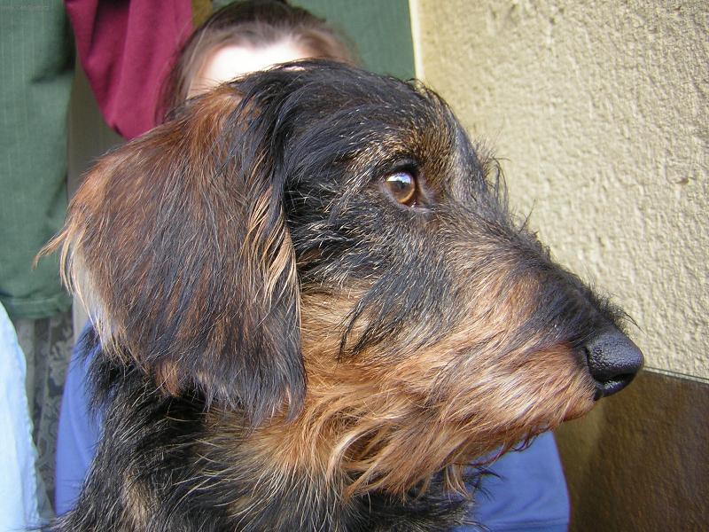 Foto: BEN-pali��k,ale n�...