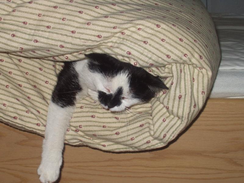 Foto: �ENDA-NEJLEP�� POZICE V POSTELI