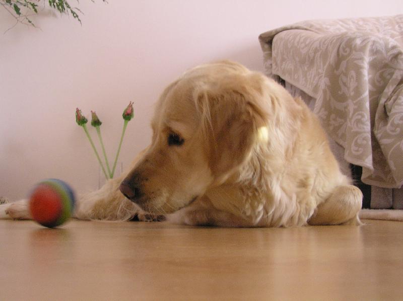 Foto: M�m ho chytit?