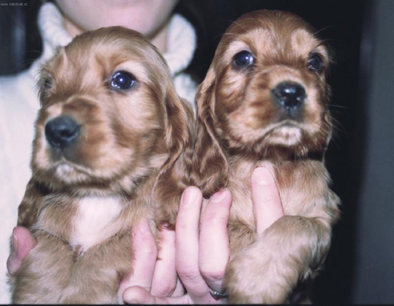 Foto: jajaj-na�a rados�