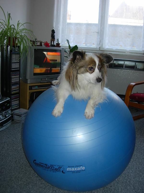 Foto: atlet-B�n�