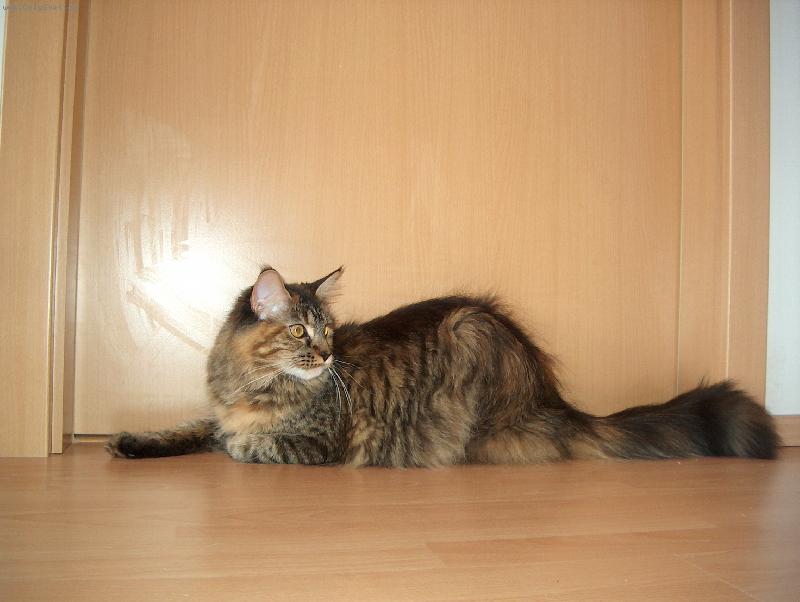 Foto: Casha-Tady hl�d�m j�