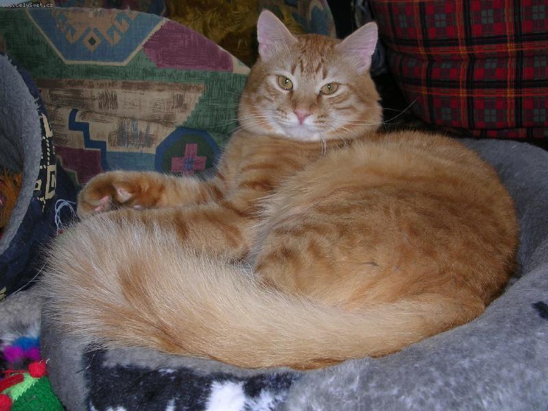 Foto: Nori-Chci se Ti l�bit...