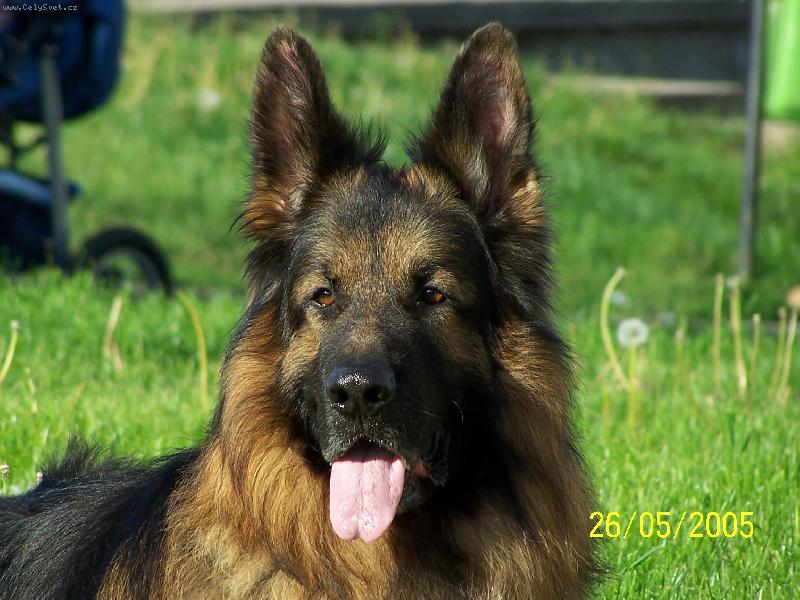 Foto: Zyndybat Krasnoocko