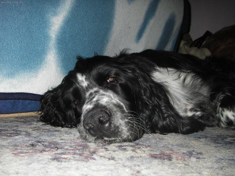 Foto: Ar�i uplne mimo-dneska m�l u� toho dost