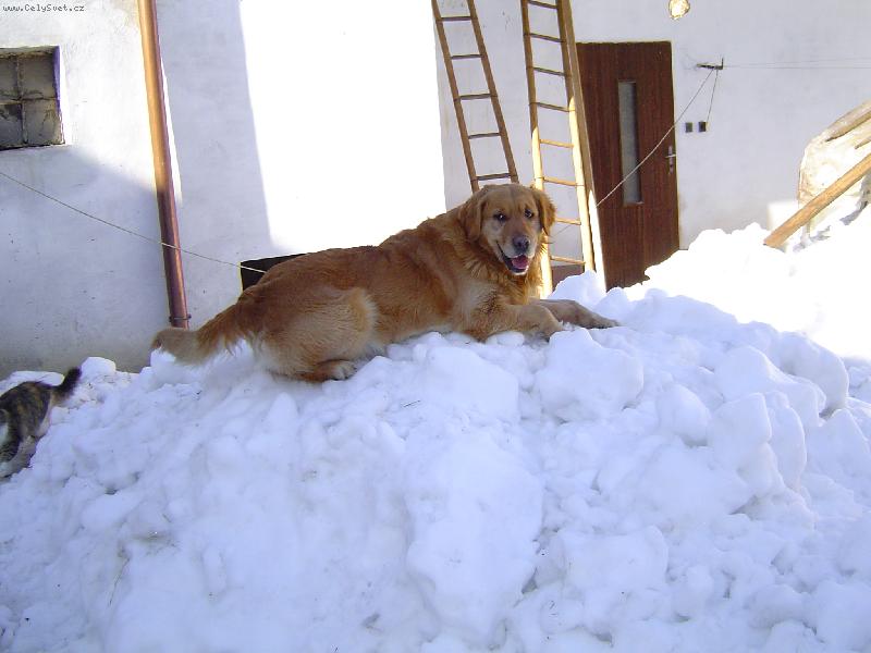 Foto: Clark-U� jsem naho�e!!!