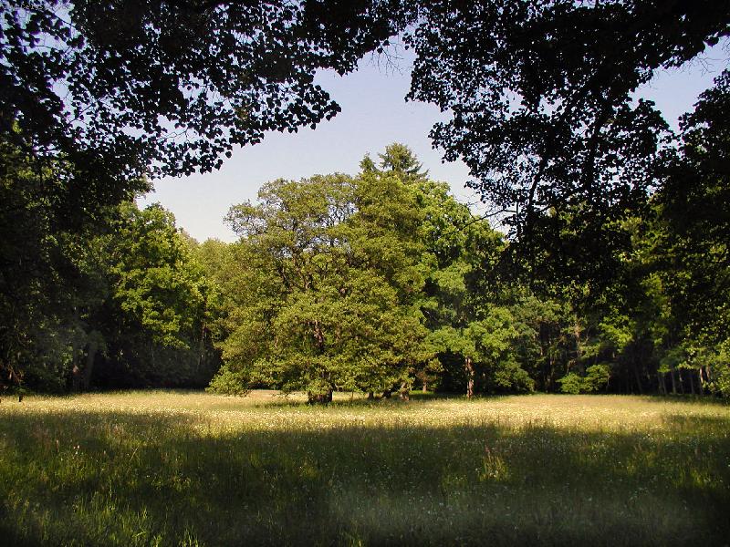 Foto: l�zn� B�lohrad