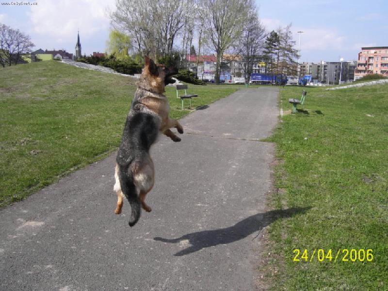 Foto: Besinka-� j� let�m