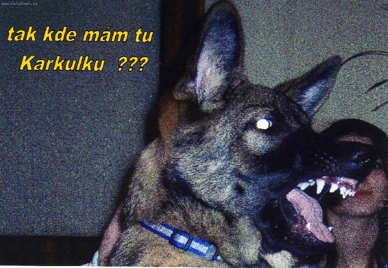 Foto: karkulka-tak kde m�m tu karkulku....