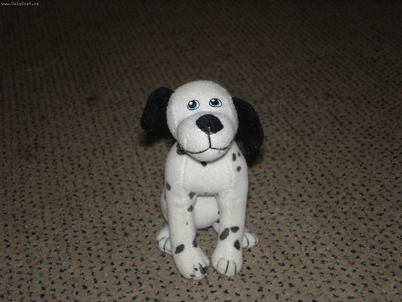 Foto: Haf!-N� dalmat�nek