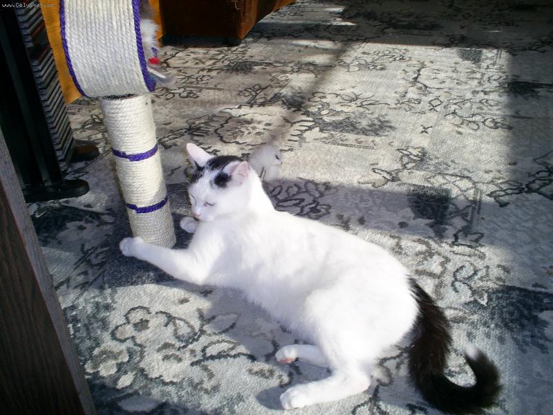 Foto: Kone�n� slun��ko!