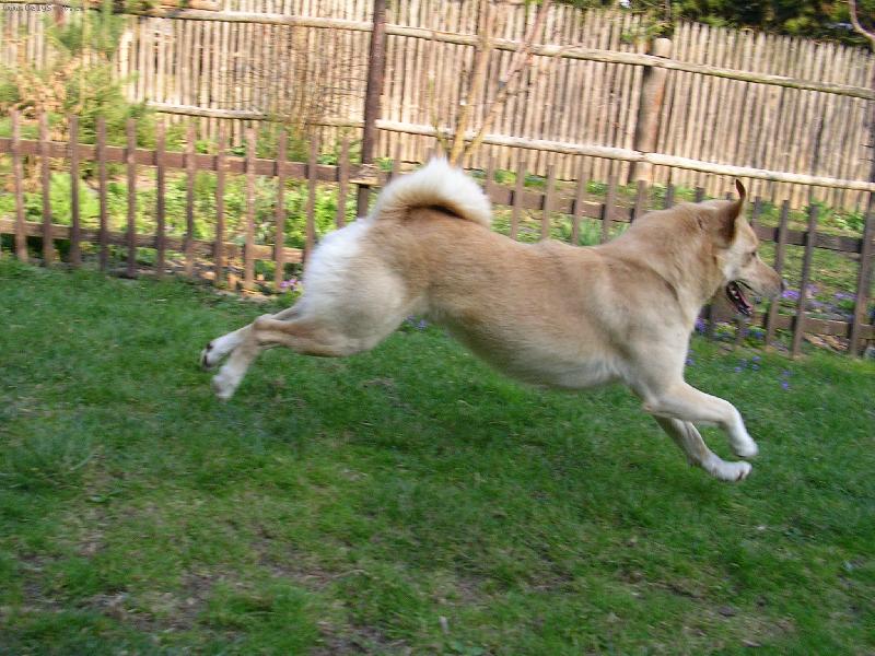 Foto: Jonat�n-honem, honem, a� to rychle stihnu