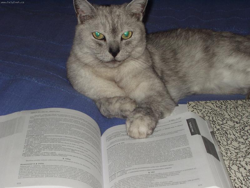 Foto: budu pr�vn�kem-Max p�i samostudiu