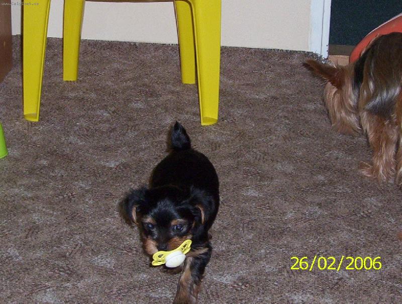 Foto: trdlo-v�dy� jsem je�t� miminko