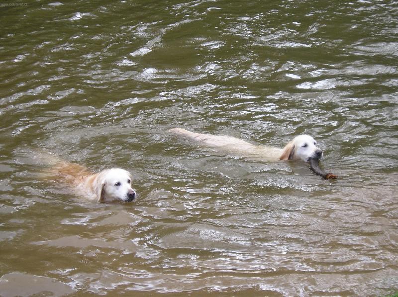 Foto: Dyna a Didi-Sourozenci na dovolen�