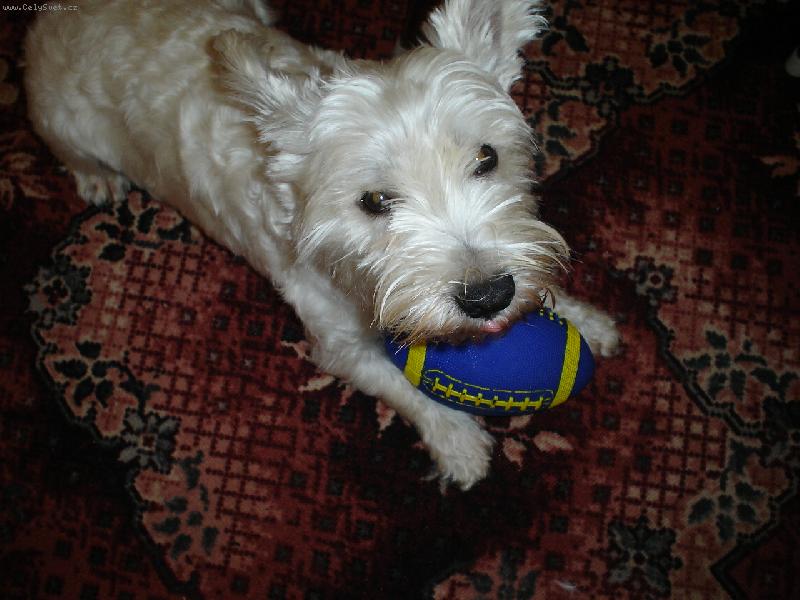 Foto: Ronny-To je muj balonek