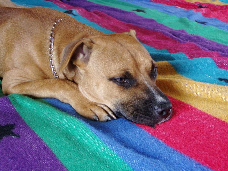 Foto: Dom�c� pohoda