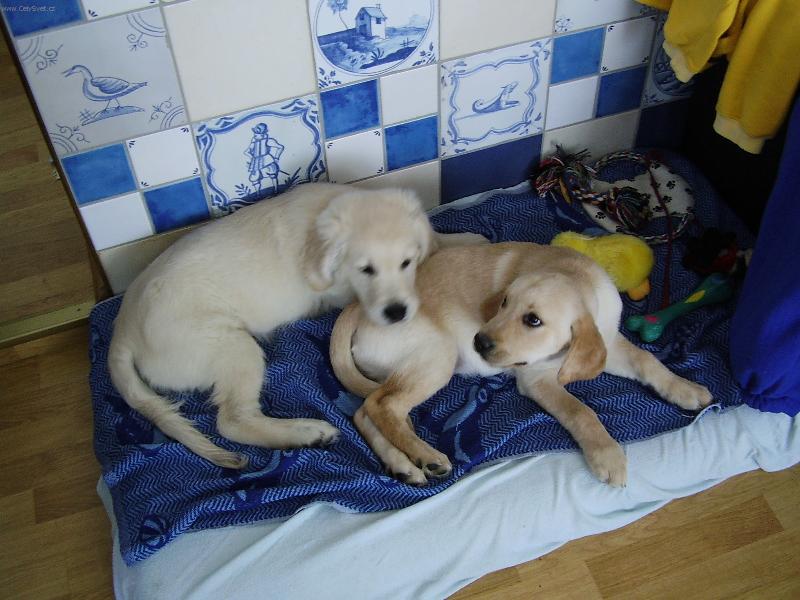 Foto: Uz nas nechte...chceme spinkat...-Angelo a Denny