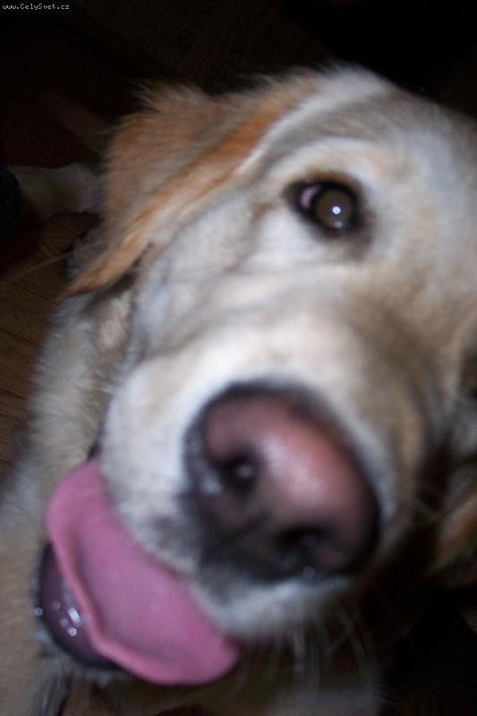 Foto: Britt-Co ��k�???