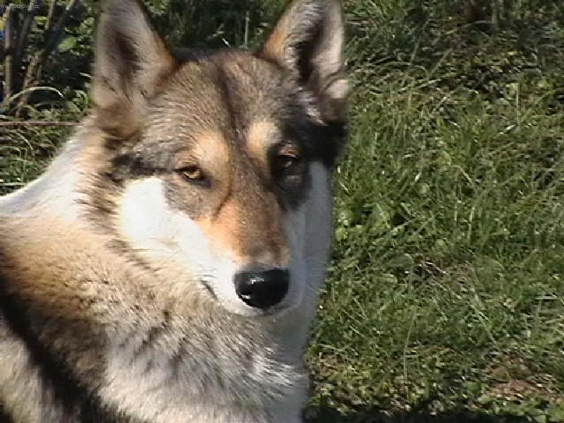 Foto: Beatrix od Katova m�stku