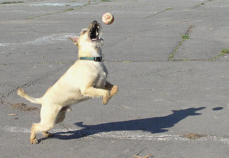 Foto: �mudla s m��kem