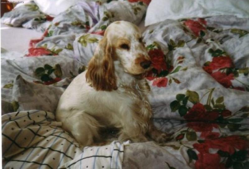 Foto: To jsem j� v pe�in�ch....