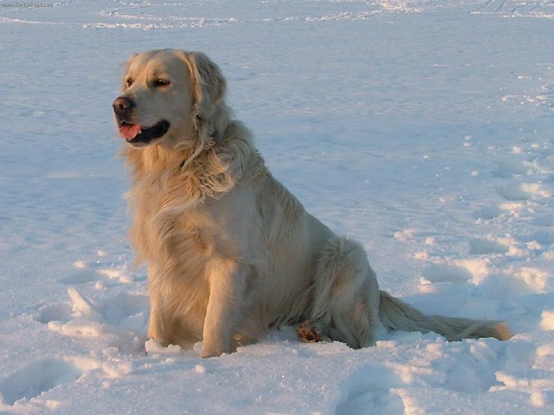 Foto: Kde m�m ty ly�e?