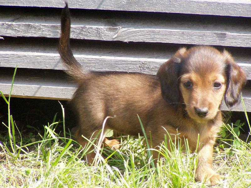 Foto: Princezna-Rozkouk�v�m se