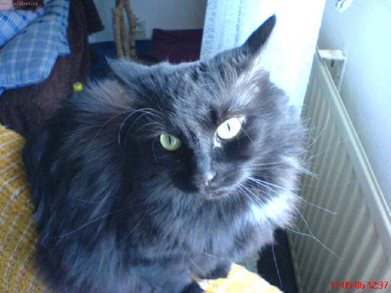 Foto: n� mazl��ek