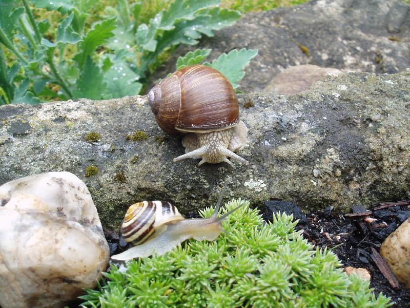 Foto: hlem���-hlem���